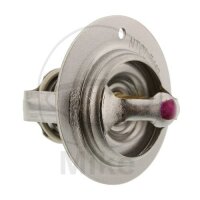 Thermostat for Yamaha YXM 700 E ES 2014-2015