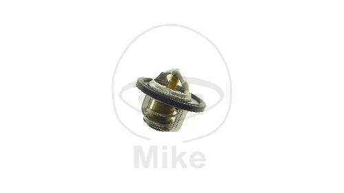 Termostato para Yamaha FZR 400 FZR 600 XP 500