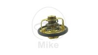 Thermostat for Yamaha FJR 1300 MT-10 1000 YZF 750 1000...