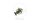 Thermostat pour Honda CBR 600 F 1999-2000