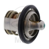 Thermostat for BMW G 310 2016-2017