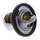 Termostato per Suzuki UH 200 A Burgman ABS 2019