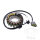 Alternatore Armatura Statore Generatore TMX per Yamaha YFM 450 Kodiak # 2018-2020