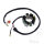 Alternatore Armatura Statore Generatore JMP per KTM SMR 560 2006-2007 # SX-F 250 2006-2010