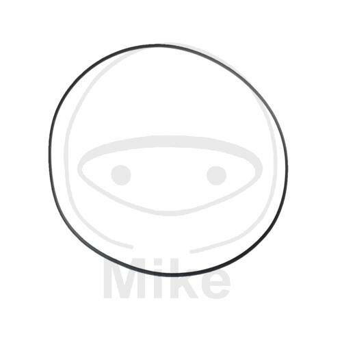 Guarnizione coperchio alternatore 3x200 mm per Polaris 700 800