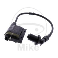 Zündspule mit Zündkerzenstecker Original...
