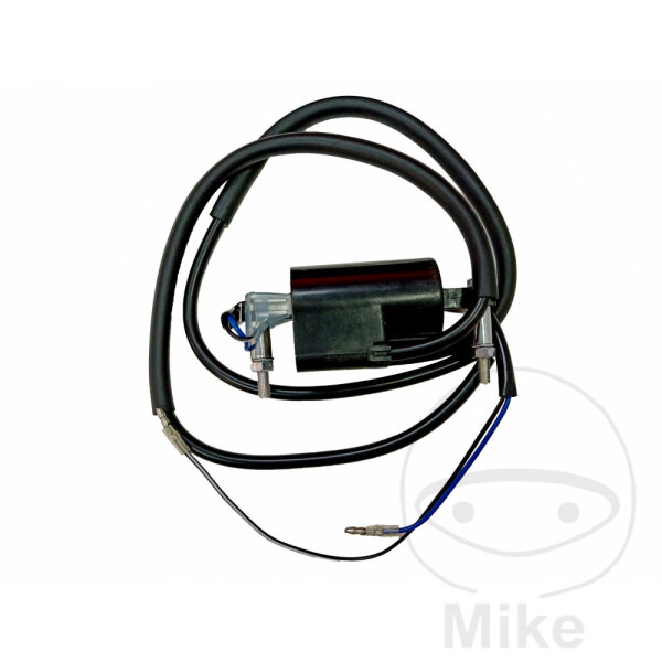 Zündspule 12V für Kymco Agility 50 125 200 Like 200 Super 8 50