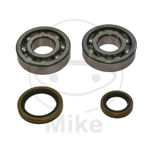 Set di cuscinetti dellalbero motore per Suzuki RM 250 # 1996-2002
