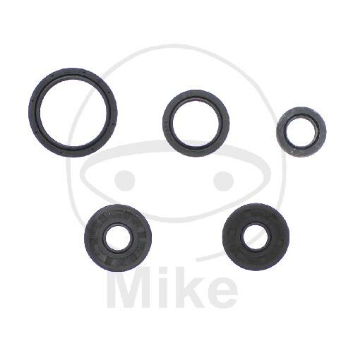 Set di paraoli ATH per BMW G 450 Husqvarna TC 449 TE 449 511 SMR 511