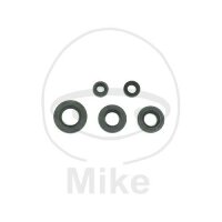 Set di paraoli ATH per Suzuki GT TS 50