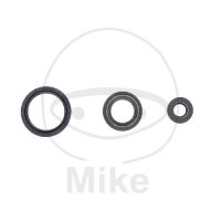 Set di paraoli ATH per Husqvarna TC 250 TE 250 310 #...