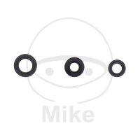 Set di paraoli ATH per Kawasaki KLX 250 R # 1994-1997