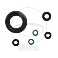 Jeu de joints darbre ATH pour Yamaha TDM 900 # 2002-2013
