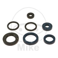 Set di paraoli ATH per KTM EXC 250 Sixdays # 2013