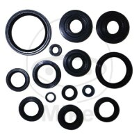 Set di paraoli ATH per Kawasaki KVF 650 750 Brute Force...