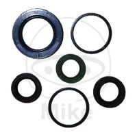 Set di paraoli ATH per Piaggio Diesis Fly Liberty NRG 50...