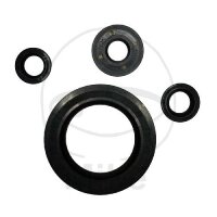 Set di paraoli ATH per Kawasaki ER-6 650 KLE 650 # 2007-2012