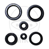 Set di paraoli ATH per Honda TRX 400 Fourtrax Rancher AT...