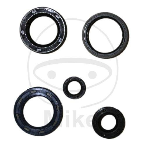 Set di paraoli ATH per Kymco KXR MXU 250