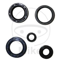 Set di paraoli ATH per Kymco KXR MXU 250