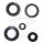 Set di paraoli ATH per Kymco KXR MXU 250