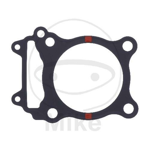 Cylinder base gasket for Kawasaki J 300