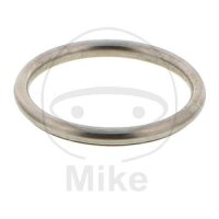 Guarnizione del collettore 41x49x4mm ATH per Polaris 450 570