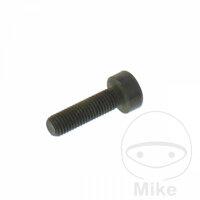 Screw M7x1.0x25mm for BMW K 75 100 1100 1200 K1 1000 R...