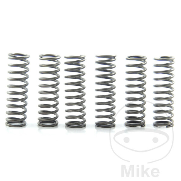 Set di molle della frizione rinforzato per BMW G 310 GS /R ABS # 2016-2020