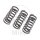 Clutch springs set reinforced for Triumph Bonneville Thruxton 1200 # 2016-2020