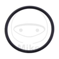 O-RING 21X24X1.5MM OE HAHN KRST
