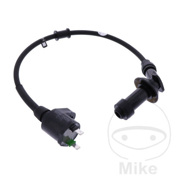 Bobine dallumage originale pour SYM Megalo 125 Euro1 # 2002-2003