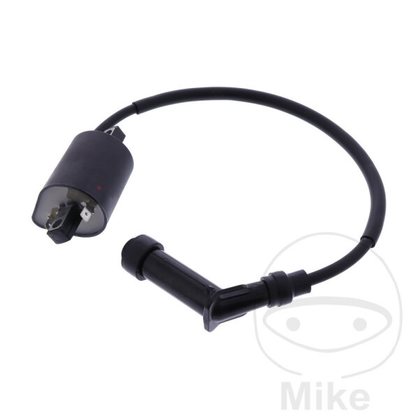 Zündspule Original für SYM GTS 250 /ie Joymax CBS # 2006-2010