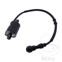 Bobine dallumage originale pour SYM GTS 125 ie Joymax...