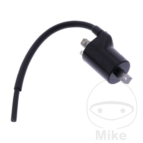 Bobina daccensione originale per Beta Xtrainer 250 2T 17-22 # 300 2T 15-22