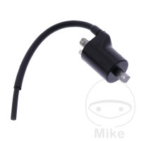 Bobine dallumage originale pour Beta Xtrainer 250 2T...