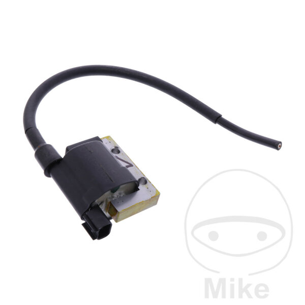 Bobine dallumage originale pour Beta RR 350 390 430 480