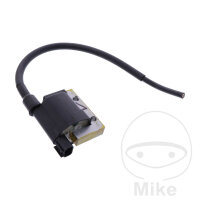 Zündspule Original für Beta RR 350 390 430 480