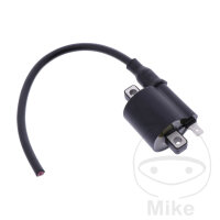 Zündspule Original für Beta Evo 80 125 200 250...