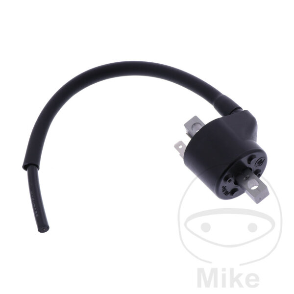 Bobina daccensione originale per Beta RR 250 300 350 400 450 480 498 520