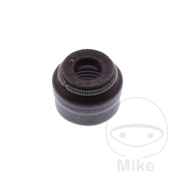 Valve stem seal original for Beta Evo 250 300 REV3 250