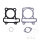 Set guarnizioni cilindro Topend Naraku per Baotian Ering Flex Tech Kymco Rex SYM