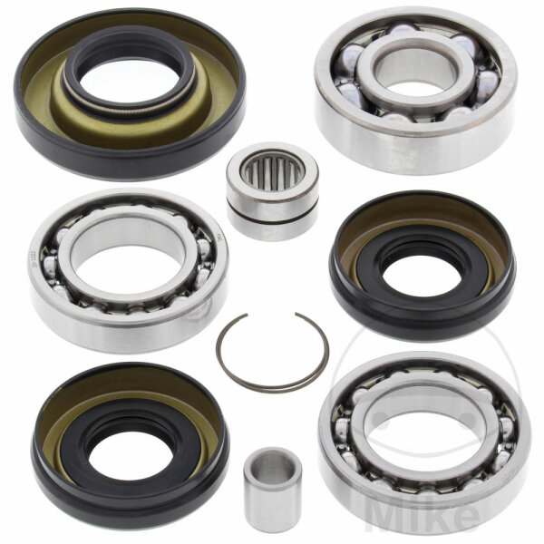 Kit di riparazione del differenziale anteriore per Honda TRX 350 Fourtrax  00-06