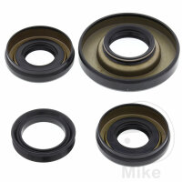Differential bearing seal kit front for Honda TRX 400 450...