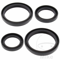 Differential bearing seal kit front for Arctic Cat 366...