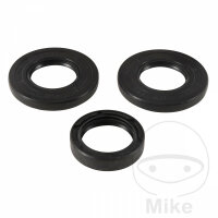 Differential bearing seal kit front for Polaris Scambler...