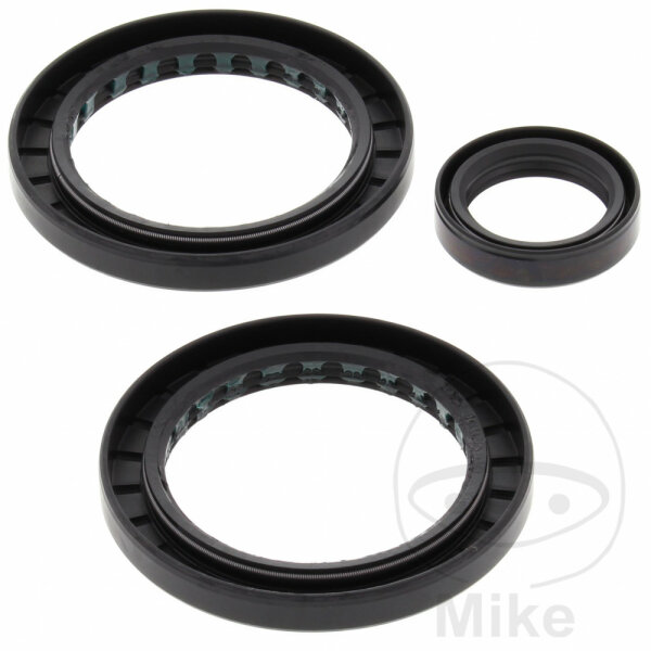 Set guarnizione cuscinetto differenziale posteriore per Polaris 700 4WD # 02-04