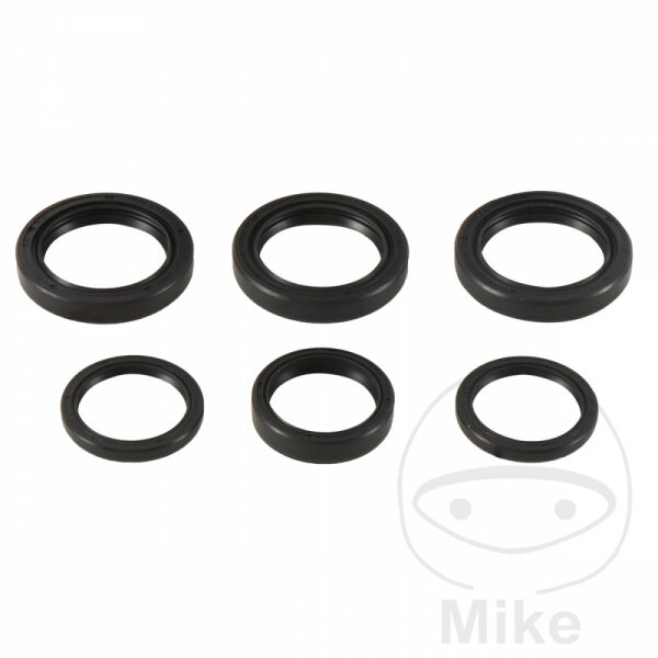 Differential bearing seal kit front for Polaris 300 400 500 700 800