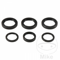 Differential bearing seal kit front for Polaris 300 400...