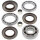 Kit di riparazione del differenziale posteriore per Polaris Sportsman 850 # 2009